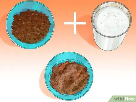 Imagen titulada Introduce Solid Food to Kittens Step 6
