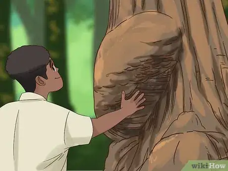 Imagen titulada Find Burl Wood Step 3