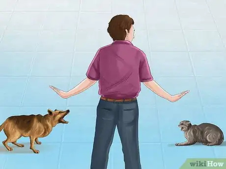 Imagen titulada Save a Cat Attacked by Dogs Step 1