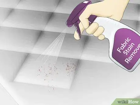 Imagen titulada Get Rid of Bed Bug Stains Step 5