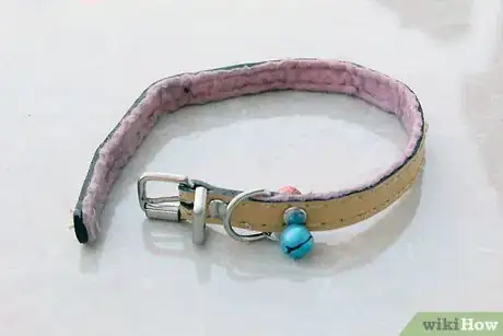 Imagen titulada Put a Collar on a Kitten Step 1