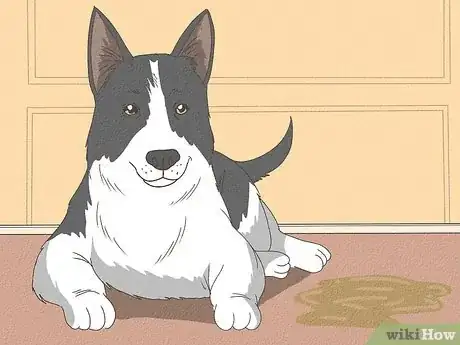 Imagen titulada Know When Your Dog is Sick Step 13