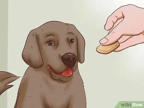 Imagen titulada Trim a Dog's Nails Step 10