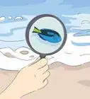 vencer el miedo