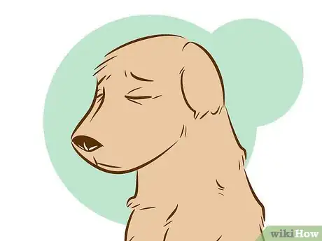 Imagen titulada Recognize a Dying Dog Step 5