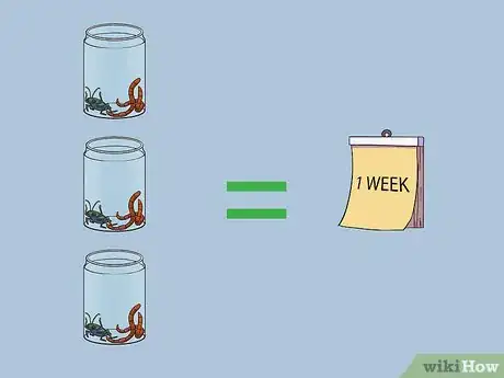 Imagen titulada Feed a Salamander Step 7