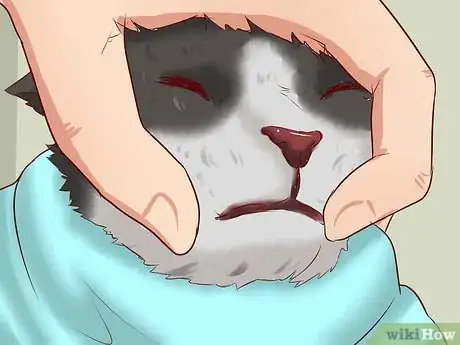 Imagen titulada Open a Cat's Mouth Step 5
