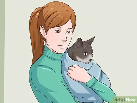 Imagen titulada Catch a Cat Step 4