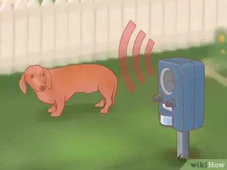 Imagen titulada Keep Dogs off Lawn Step 13