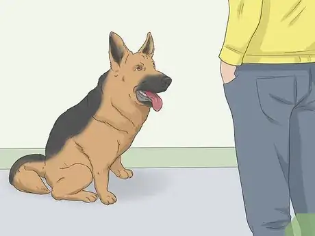 Imagen titulada Train a Scared Dog to Go Down the Stairs Step 2