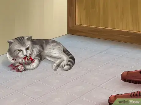 Imagen titulada Save a Cat Attacked by Dogs Step 2