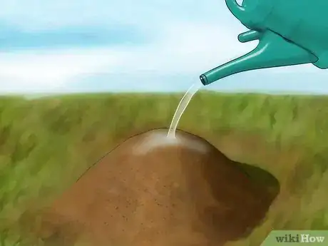 Imagen titulada Stop Ants From Coming Into Your Home Step 9