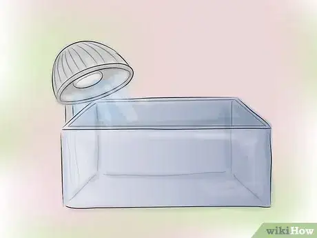 Imagen titulada Plant an Aquarium Step 1