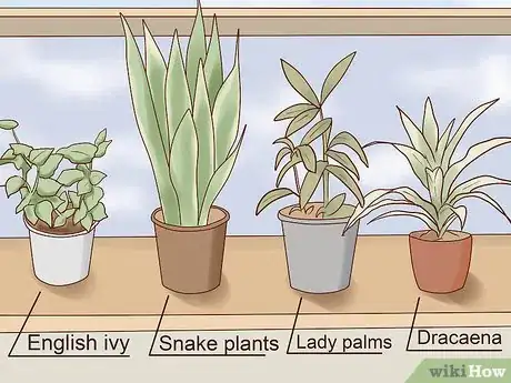 Imagen titulada Deodorize a Room Step 17