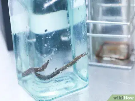Imagen titulada Make Vanilla Extract Step 5