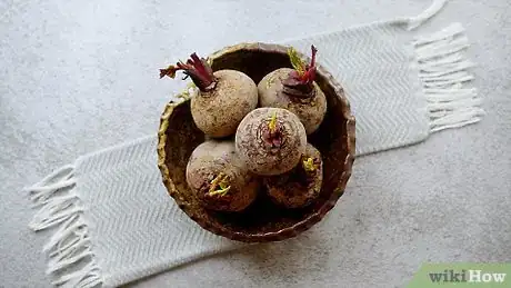 Imagen titulada Prepare Beetroot Step 1