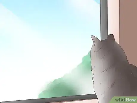 Imagen titulada Treat Epilepsy in Cats Step 13