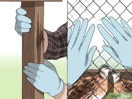 Imagen titulada Build a Quail Habitat Step 14