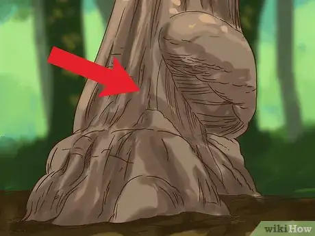 Imagen titulada Find Burl Wood Step 2