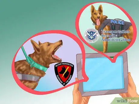 Imagen titulada Buy Already Trained Dogs Step 4