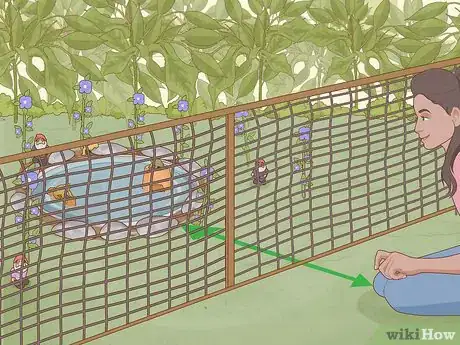 Imagen titulada Create a Habitat for a Toad Step 10