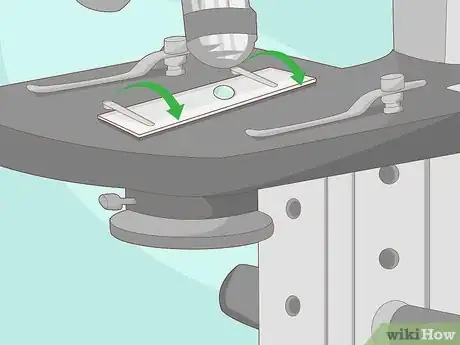 Imagen titulada Use a Microscope Step 8