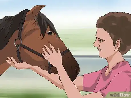 Imagen titulada Halter a Horse Step 14
