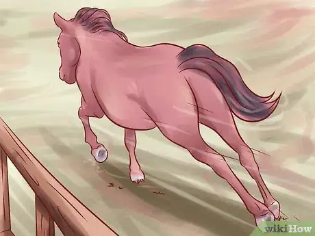 Imagen titulada Help a Horse Recover from Founder Step 10