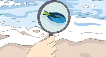 vencer el miedo