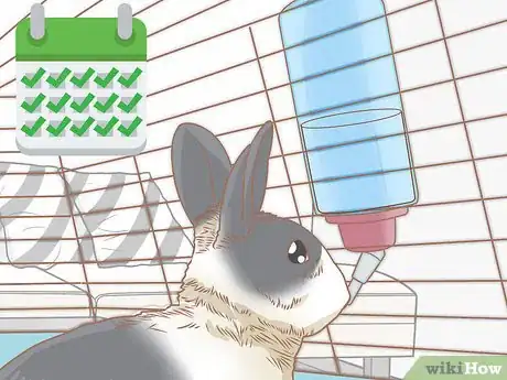 Imagen titulada Raise Rabbits Step 6