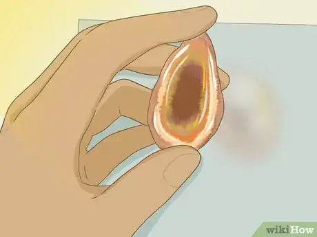 Imagen titulada Identify Agate Step 6.jpeg