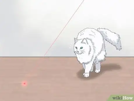 Imagen titulada Identify a Norwegian Forest Cat Step 7