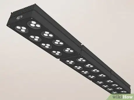 Imagen titulada Start a Saltwater Aquarium Step 9