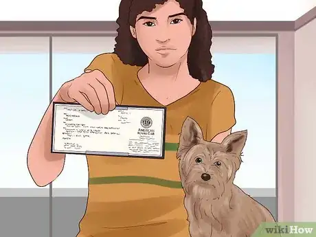Imagen titulada Train Your Dog for a Dog Show Step 1