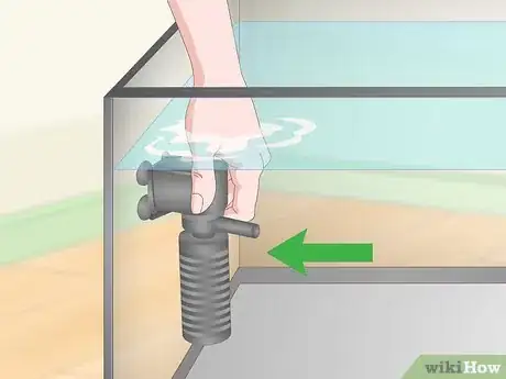 Imagen titulada Take Care of Mini Pet Turtles Step 3