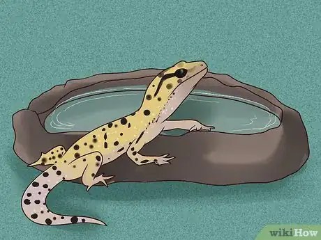 Imagen titulada Care for a Leopard Gecko Step 8