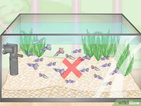 Imagen titulada Lower Your Nitrate_Nitrite Levels in Your Fish Tank Step 9
