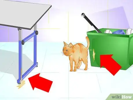 Imagen titulada Tell if a Cat Is Spayed Step 11
