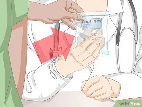 Imagen titulada Care for Your Rabbit After Neutering or Spaying Step 5