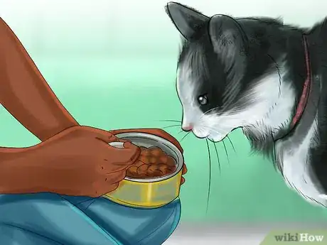 Imagen titulada Encourage Your Cat to Eat Step 12