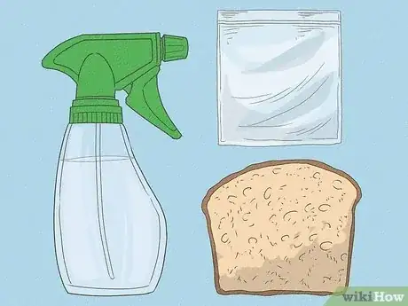 Imagen titulada Make Mold Grow on Bread Step 1