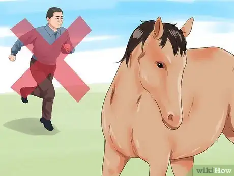 Imagen titulada Approach Your Horse Step 15