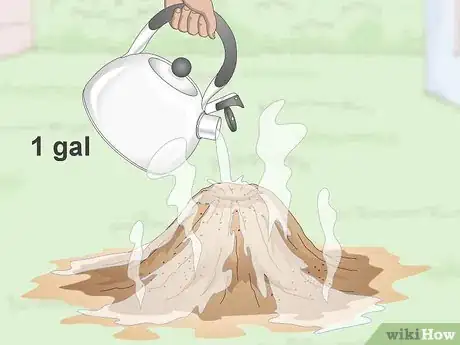 Imagen titulada Get Rid of an Ant Hill Step 3
