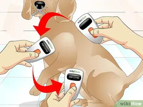 Imagen titulada Tell if a Dog Is Microchipped Step 7
