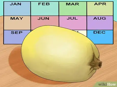 Imagen titulada Buy Spaghetti Squash Step 4