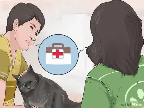 Imagen titulada Diagnose and Treat Blood Blisters in Cats Step 6