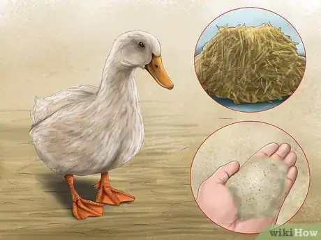 Imagen titulada Attract Ducks Step 14