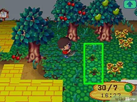 Imagen titulada Get Red Turnips in Animal Crossing Step 6