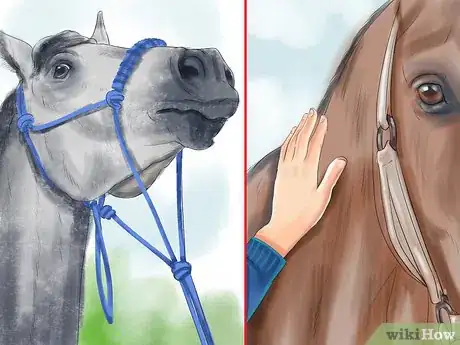 Imagen titulada Get a Horse to Put Its Head Down Step 4