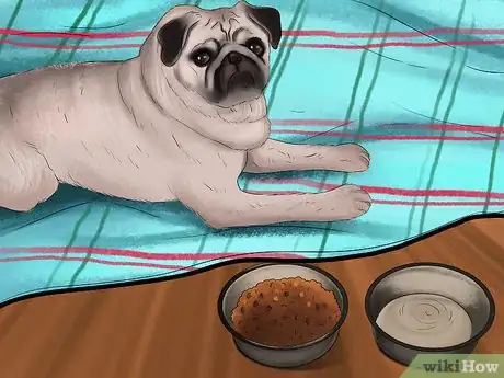 Imagen titulada Care for a Pug Step 3